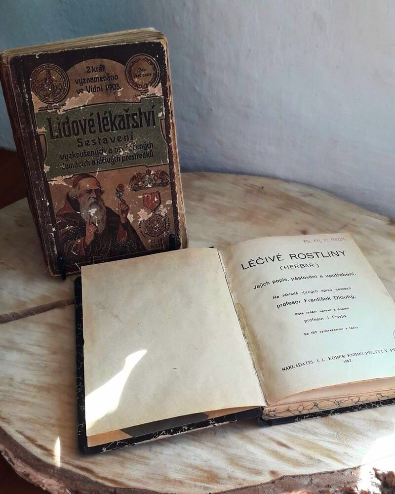 Bez názvu (800 x 1000 px) (1)